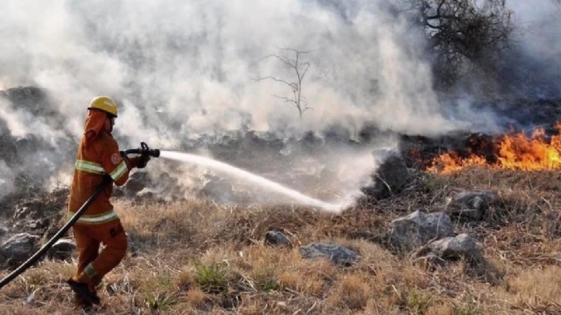 Incendios: el Gobierno Nacional cuestion a Mendoza por reclamar