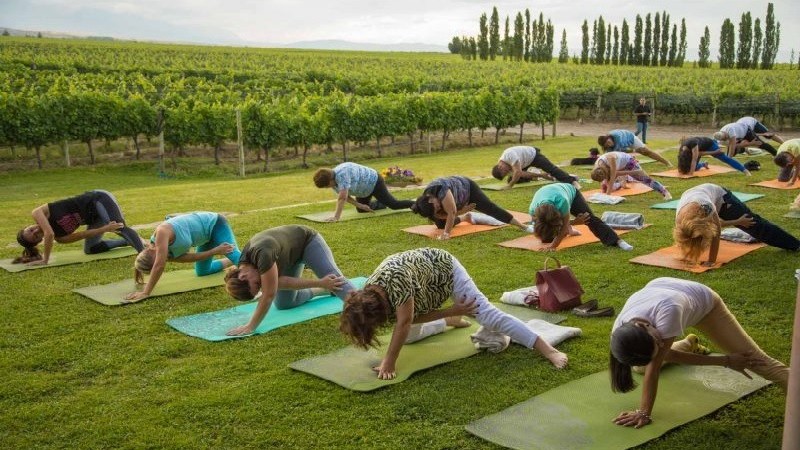Yoga, por los caminos del vino