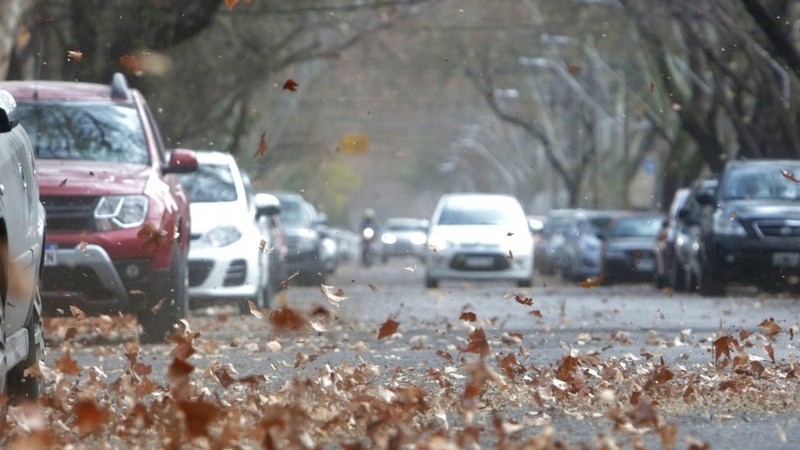 Terror por el Viento Zonda: cundo baja