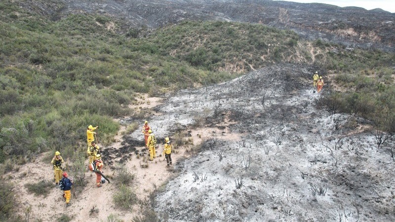 Incendios en Mendoza: situacin controlada