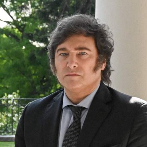 Milei y el DNU: ¿todo sigue su curso?
