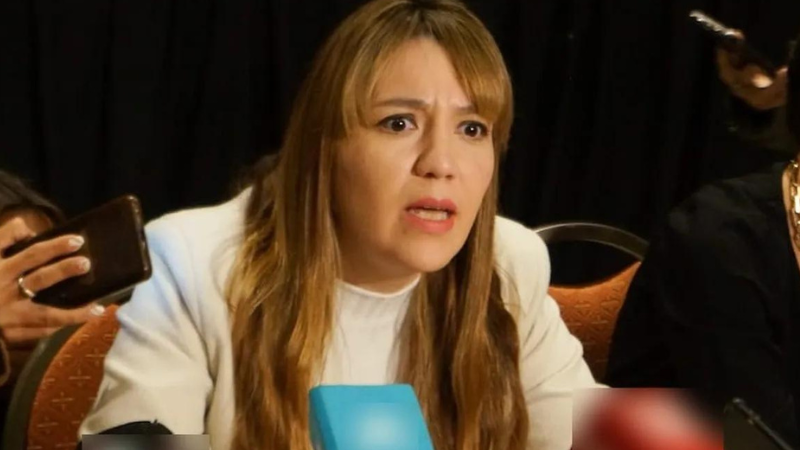 Janina Ortiz qued sin fueros y evalan su suspensin