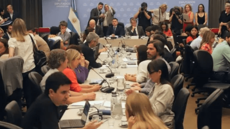 Ley mnibus: se retoma el debate