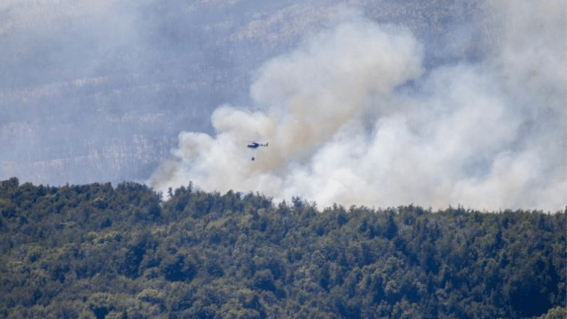 Ms de 1000ha incendiadas en el Parque Nacional Los Alerces