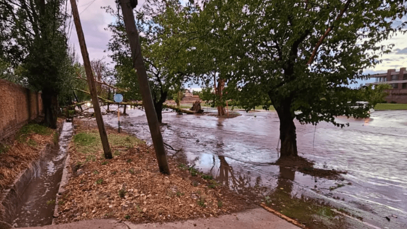 Despus de la tormenta