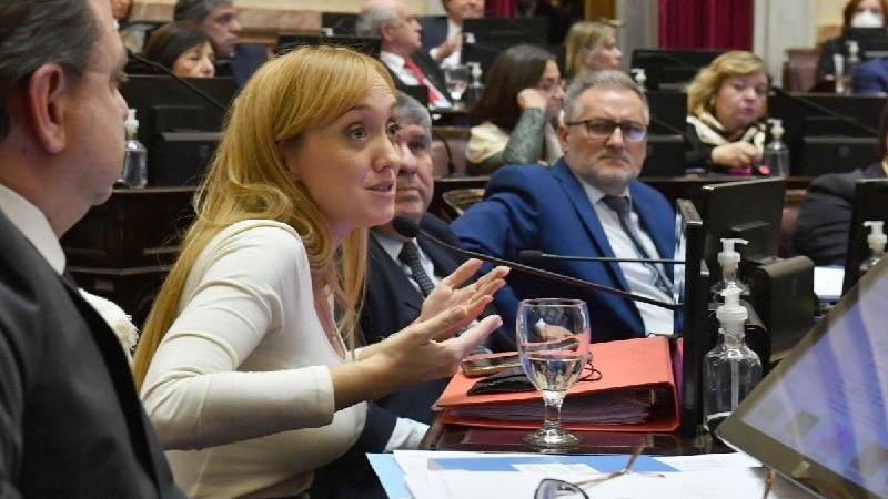 DNU en el Senado: Fernndez Sagasti cuestion a Milei