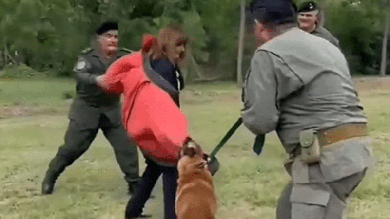 Viral: Bullrich fue atacada por un perro pero est todo bien