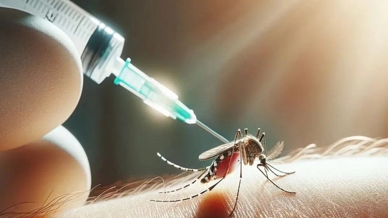 Dengue: guerra poltica hasta por los mosquitos