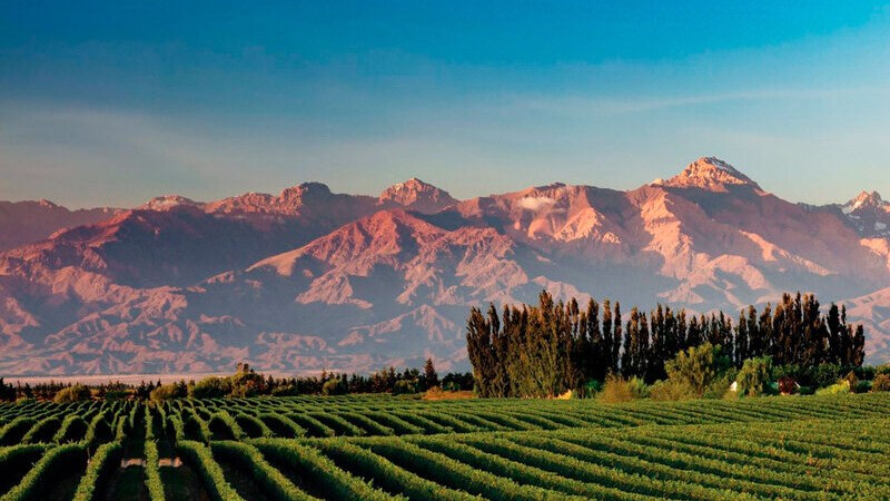 Mendoza en el ranking de las favoritas