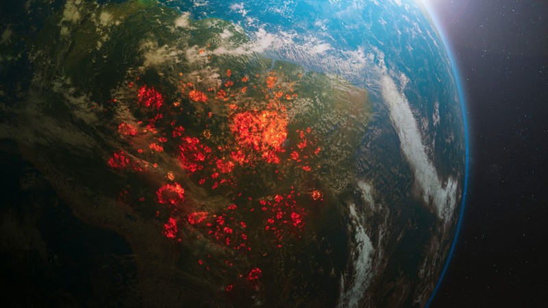 Hoy 5 de junio es el Día Mundial del Medioambiente: te contamos porqué