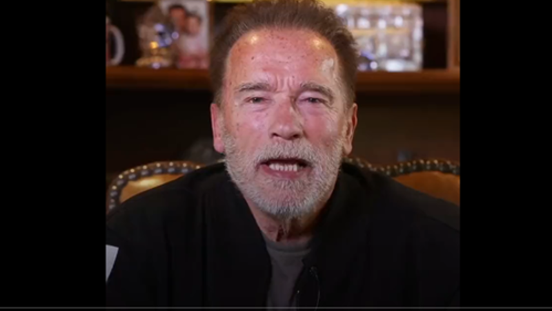 Schwarzenegger le pide a Putin que pare la guerra