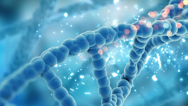 Cientficos terminaron de decodificar el primer genoma humano completo