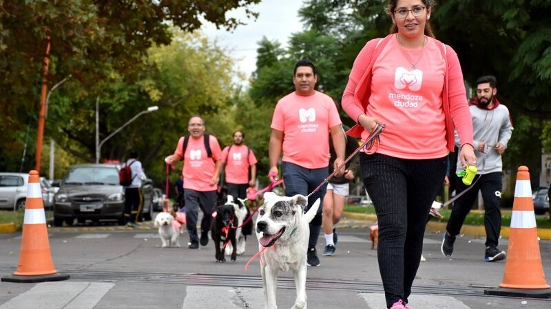 Smate a la Maratn animal en la Ciudad de Mendoza!