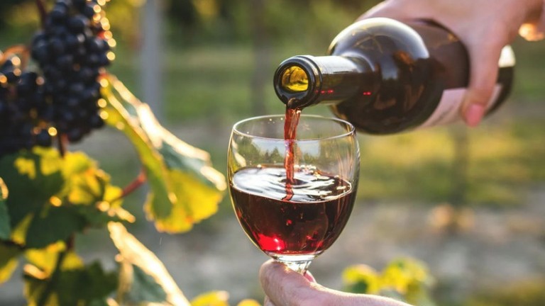 Tres vinos argentinos están entre los mejores del mundo