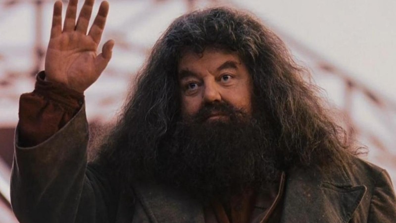 Adis Hagrid