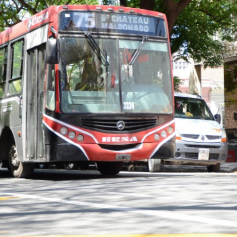 Transporte: paro confirmado