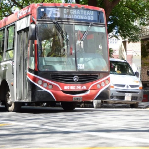 Transporte: paro confirmado