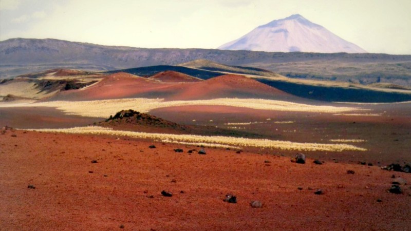 La Payunia