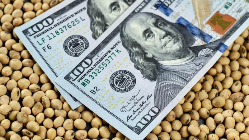 Dlar Agro: que espera el Gobierno