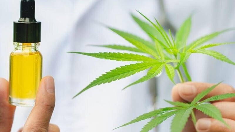 Tratamientos gratuitos con cannabis medicinal