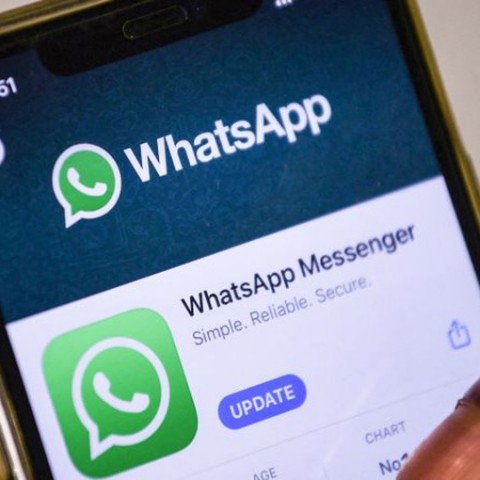WhatsApp municipal para consultar el padrón