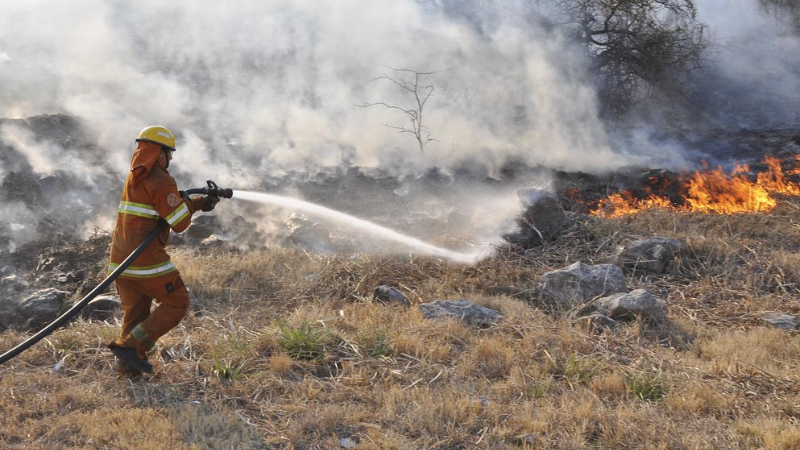 Incendios: Hay al menos 10 focos activos 