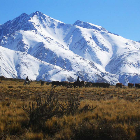 Acampá en un paraíso de Mendoza, a la orilla de un volcán