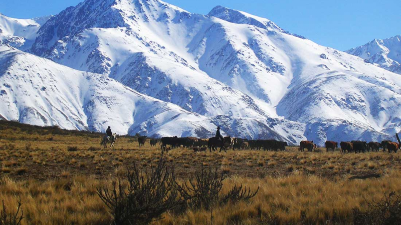 Acamp en un paraso de Mendoza, a la orilla de un volcn