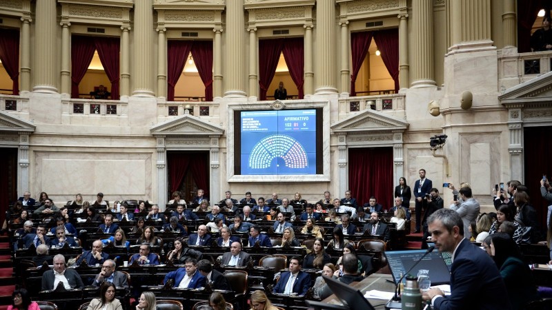 Ley Bases: prxima parada, Diputados