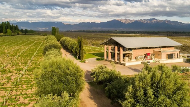 Conoc una excelente bodega boutique a media hora de la ciudad de Mendoza