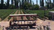 Una manera original y divertida de visitar bodegas en Mendoza