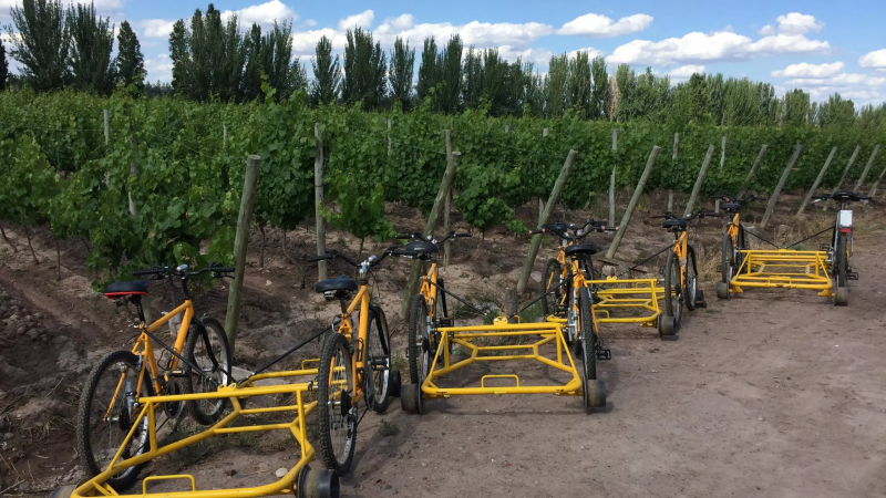 Conoc una original forma de bodeguear en Mendoza