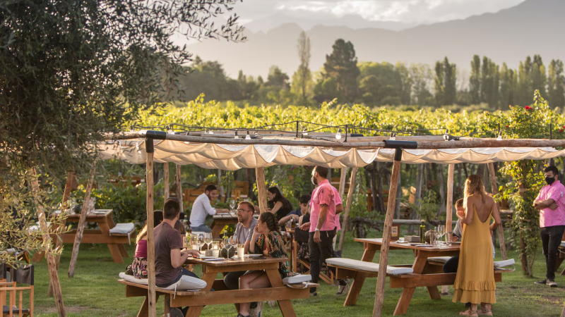 Una experiencia gastronmica rodeada de viedos muy cerca de la ciudad de Mendoza