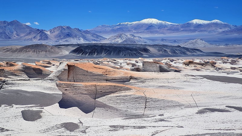 Mendoza, en busca del oro blanco