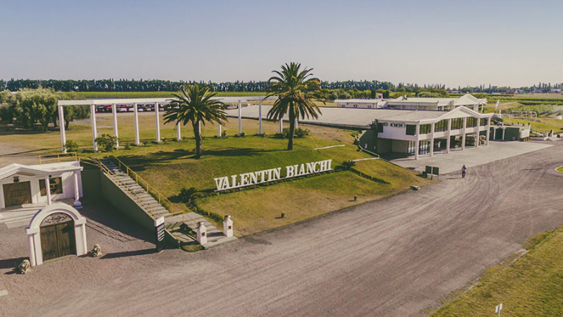 Visit una bodega para degustar de distintos vinos en San Rafael