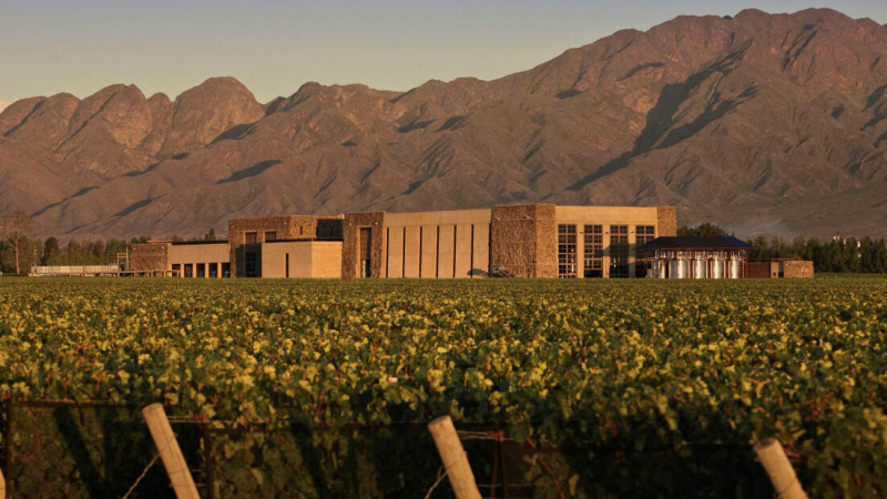 Visit una de las bodegas sustentables de Mendoza