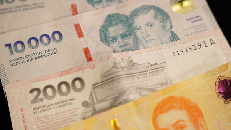 El bono elegido por los argentinos para invertir en pesos