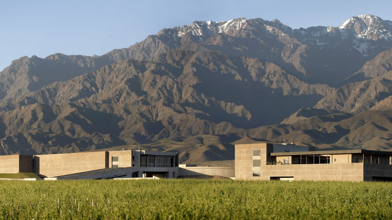 Conoc una excelente bodega mientras ests inmerso en la Cordillera de los Andes