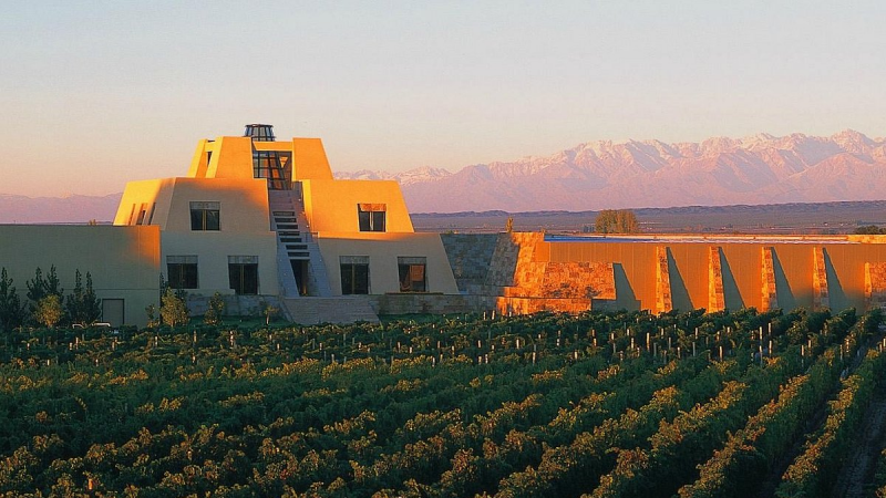 Visit una de las mejores bodegas del mundo