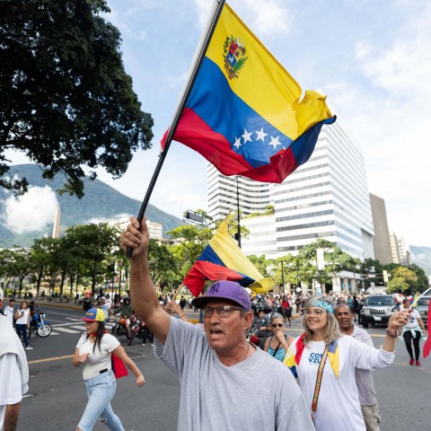 La OEA se queda en el molde