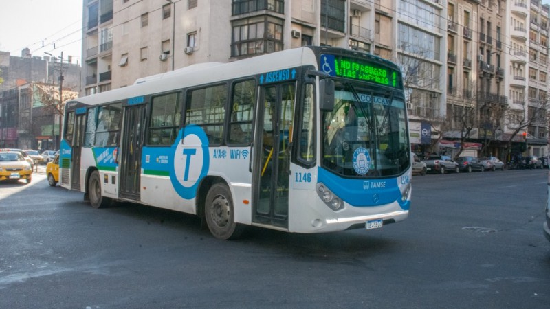 Da de las infancias: transporte gratuito para nios