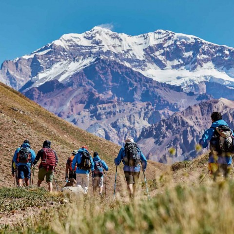El Aconcagua se queda sin veterinarios