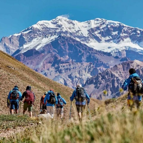 El Aconcagua se queda sin veterinarios