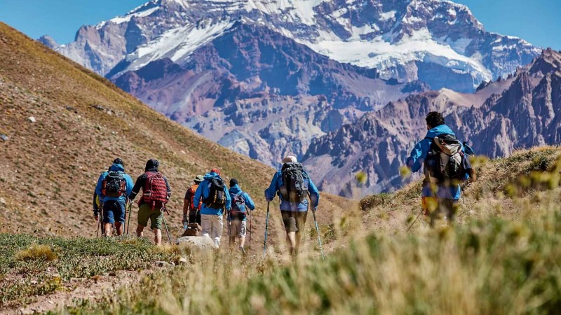 El Aconcagua se queda sin veterinarios