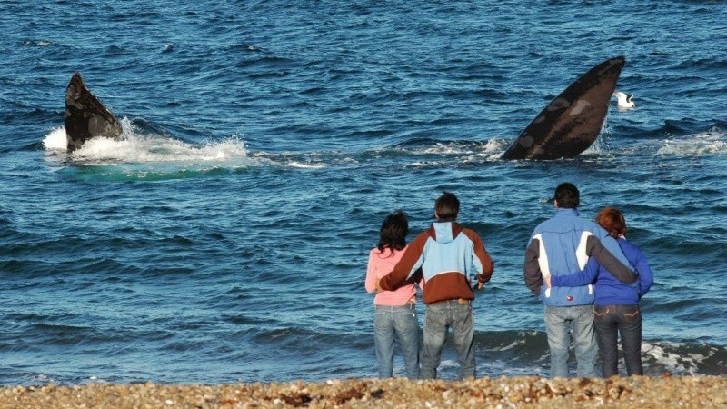 Esta playa argentina est entre las mejores de Sudamrica y te sorprender