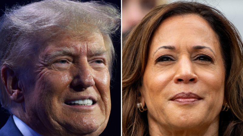 Trump y Harris, frente a frente