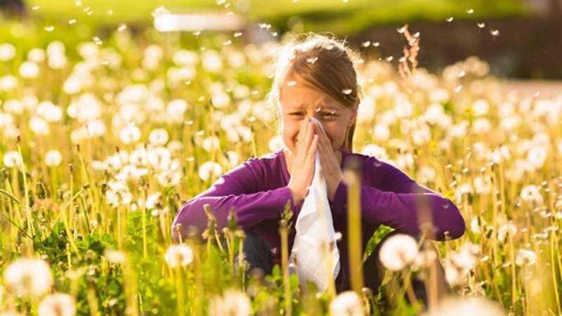 Se viene la primavera: 3 tips para combatir las alergias