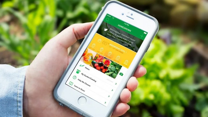 La app para principiantes que revoluciona el cuidado de los jardines