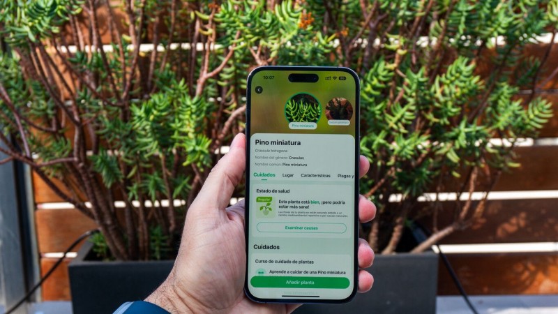 Las tres mejores aplicaciones para cuidar plantas en el hogar