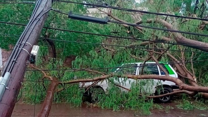 "Nunca vi una tormenta de esta magnitud"